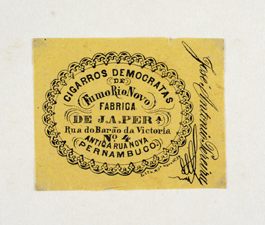 vizualizar o documento on line